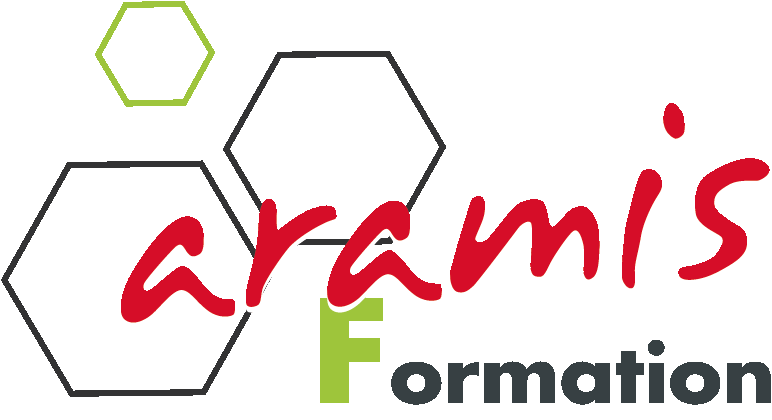 Logo Aramis Formation